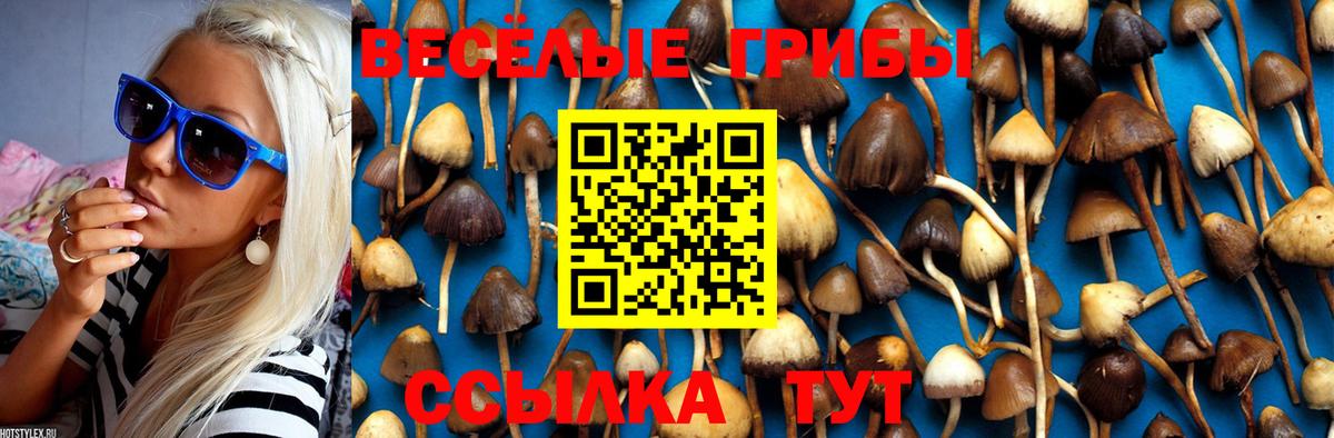 Воркута  Псилоцибиновые грибы Magic Shrooms  Вход с VPN 
